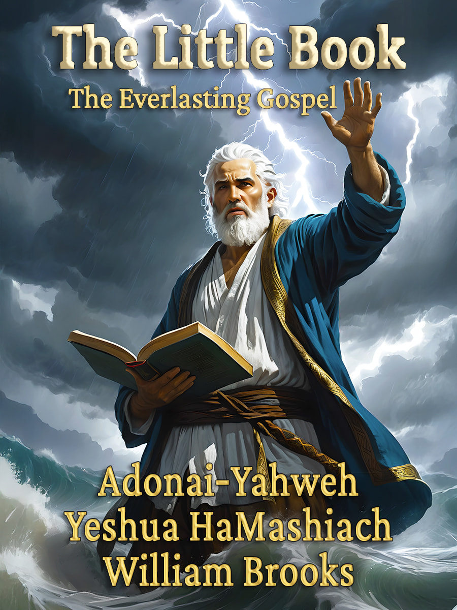 Cover of The Little Book
