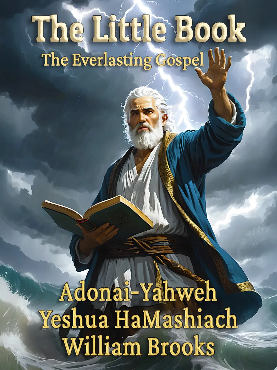 Cover of The Little Book